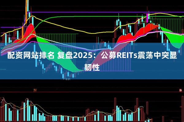 配资网站排名 复盘2025：公募REITs震荡中突显韧性
