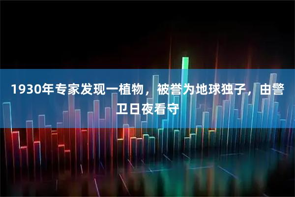 1930年专家发现一植物，被誉为地球独子，由警卫日夜看守