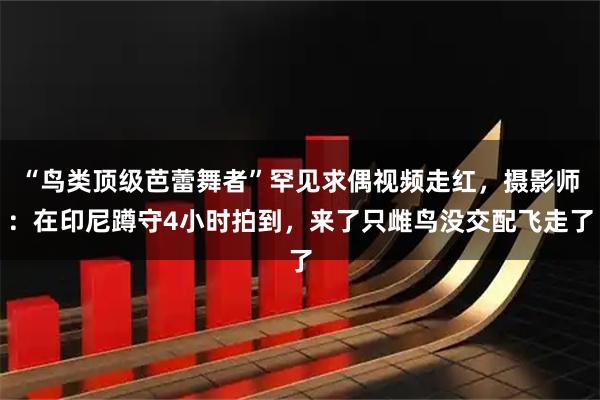 “鸟类顶级芭蕾舞者”罕见求偶视频走红，摄影师：在印尼蹲守4小时拍到，来了只雌鸟没交配飞走了