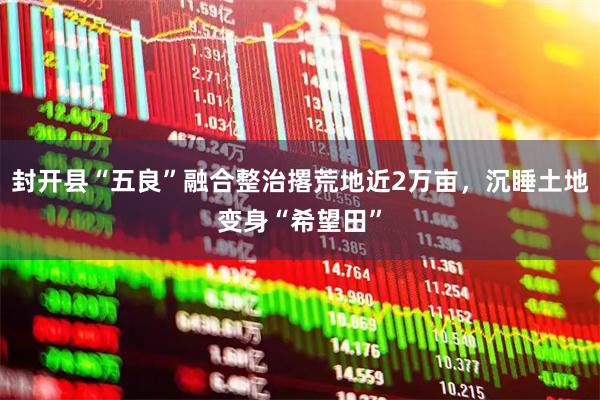 封开县“五良”融合整治撂荒地近2万亩，沉睡土地变身“希望田”