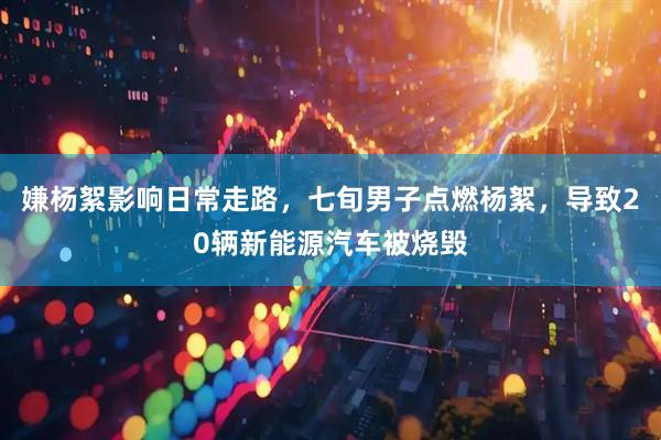 嫌杨絮影响日常走路，七旬男子点燃杨絮，导致20辆新能源汽车被烧毁