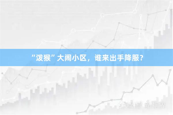 “泼猴”大闹小区，谁来出手降服？