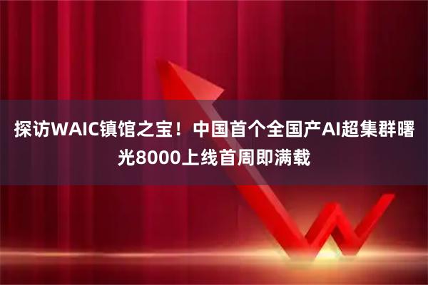 探访WAIC镇馆之宝！中国首个全国产AI超集群曙光8000上线首周即满载