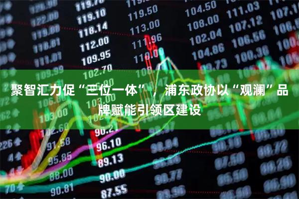 聚智汇力促“三位一体” ，浦东政协以“观澜”品牌赋能引领区建设