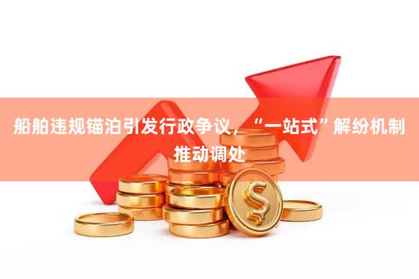船舶违规锚泊引发行政争议，“一站式”解纷机制推动调处