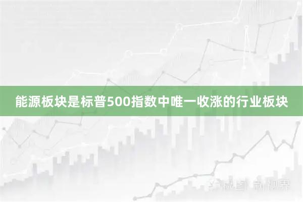 能源板块是标普500指数中唯一收涨的行业板块